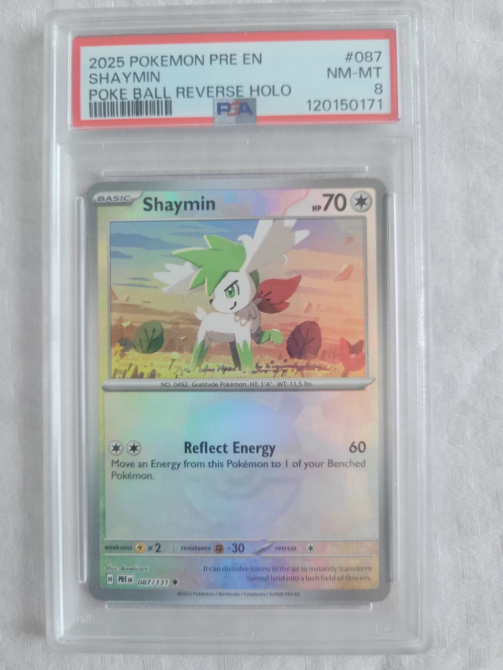 Shaymin Trading Card - Holographic Poke Ball Reverse